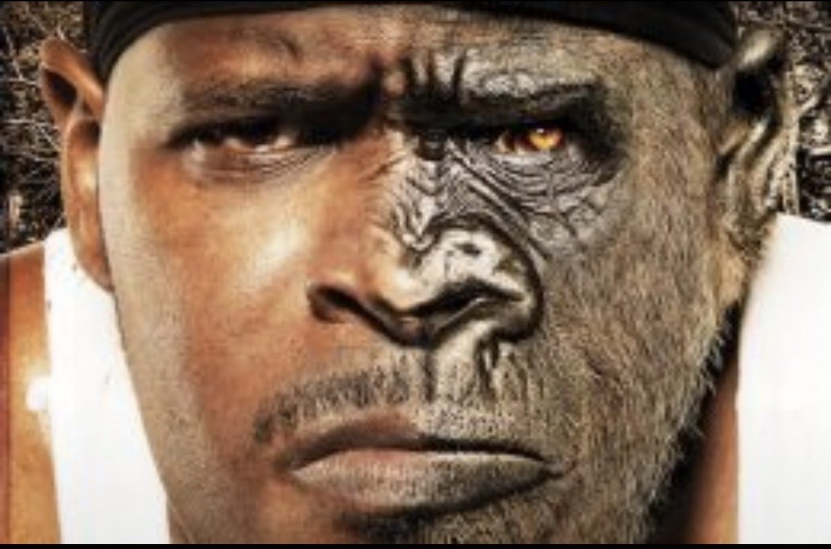 wada223's tweet photo. @LosGnuoy309 What did you expect? Blacks literally cannot critically think

>actual monkeys living amongst us https://t.co/MJi1fhZsNX