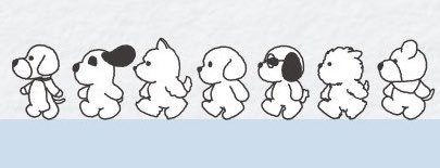 myfavdcom's tweet photo. 누가누군지 감도안옴 https://t.co/ikmHsLy9y4