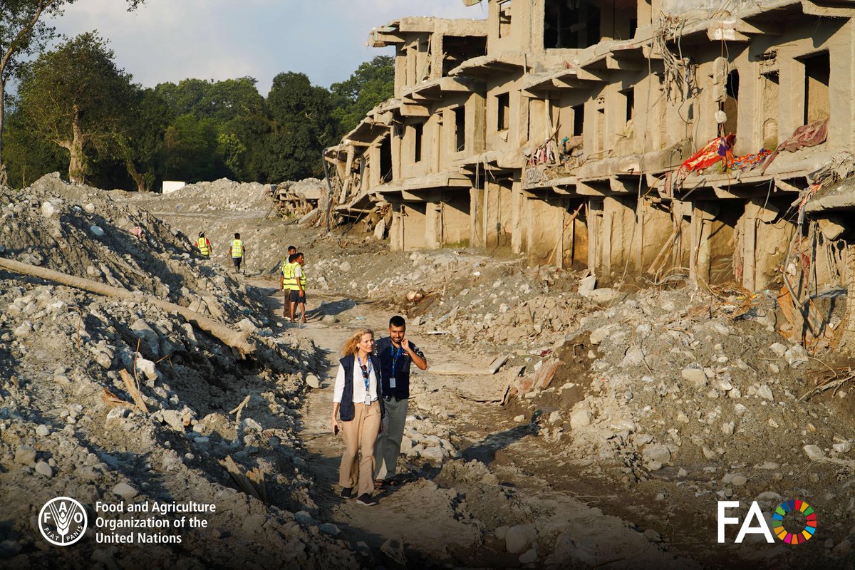 FAONepal's tweet photo. .@FAO Emergency Operations team joined #FAONepal to assess flood impact on agricultural livelihoods, fish farms & infrastructure. Working with GovOfNepal & @UN_Nepal, we are driving evidence-based assessments to deliver targeted recovery support.
#AgricultureRecovery https://t.co/bJzzyiGc09