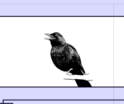 TimJackMaster's tweet photo. 🐦 https://t.co/6YTvMTDpUU