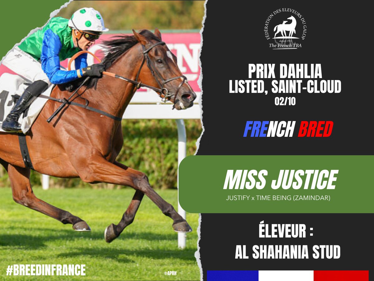 Fedeeleveurs's tweet photo. ☀️La fille de #Justify, MISS JUSTICE s'est offert le Prix Dahlia pour son éleveur Al Shahania Stud sur l' Hippodrome de Saint-Cloud (02/10) ! Félicitations à tous ! 👏
#vivelelevagefrancais #BreedInFrance #RaceAndCare https://t.co/k1eAnnFwAt