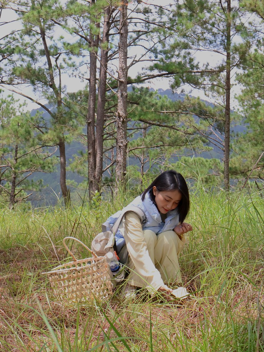 VelasquezoscarO's tweet photo. Vào rừng hái nấm, ai cũng nhìn đất còn tôi mải ngước nhìn cây cối. Cuối buổi đành xin chụp ké giỏ của mấy chị, may mà vẫn còn nấm dù đã cuối mù https://t.co/TSCPB2oiNc