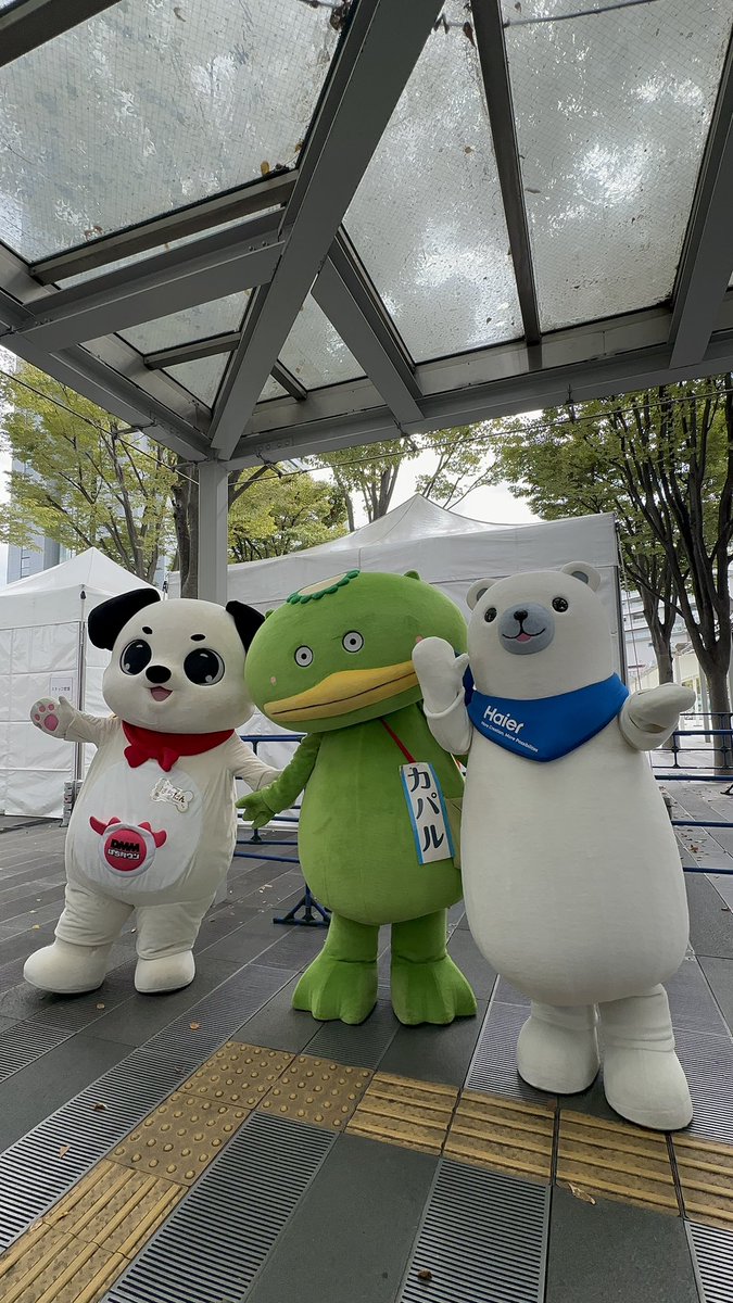 km2monluv's tweet photo. 2026.10.4
#ゆるキャラグランプリ
#ゆるバース　
カパルがREITOに投票メダルあげてるところ、お散歩、ぱちたん&amp;REITOの3ショットです。 https://t.co/Ixtev1zL2M