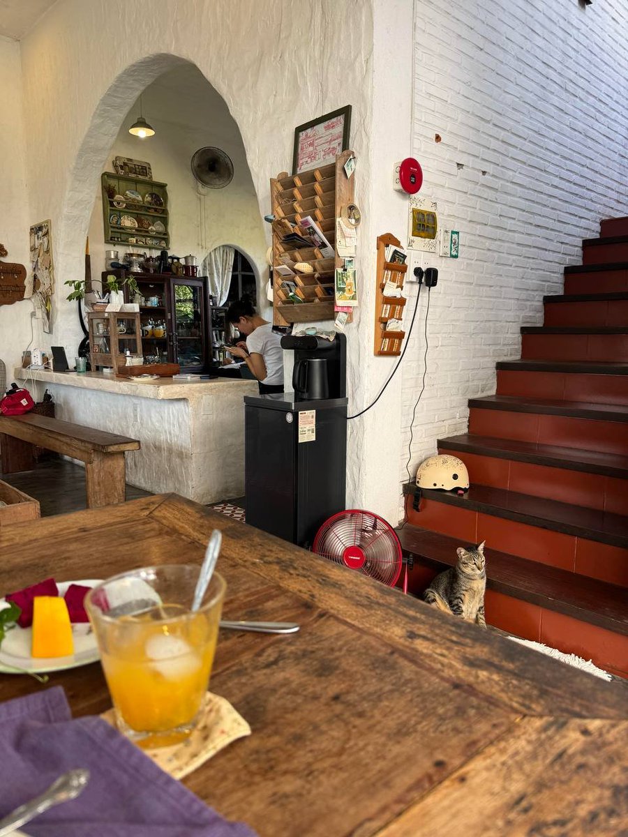 RV_KHL's tweet photo. Today's breakfast came with a hidden ingredient: a cat secretly watching. 🐱 https://t.co/50JBmGhFni