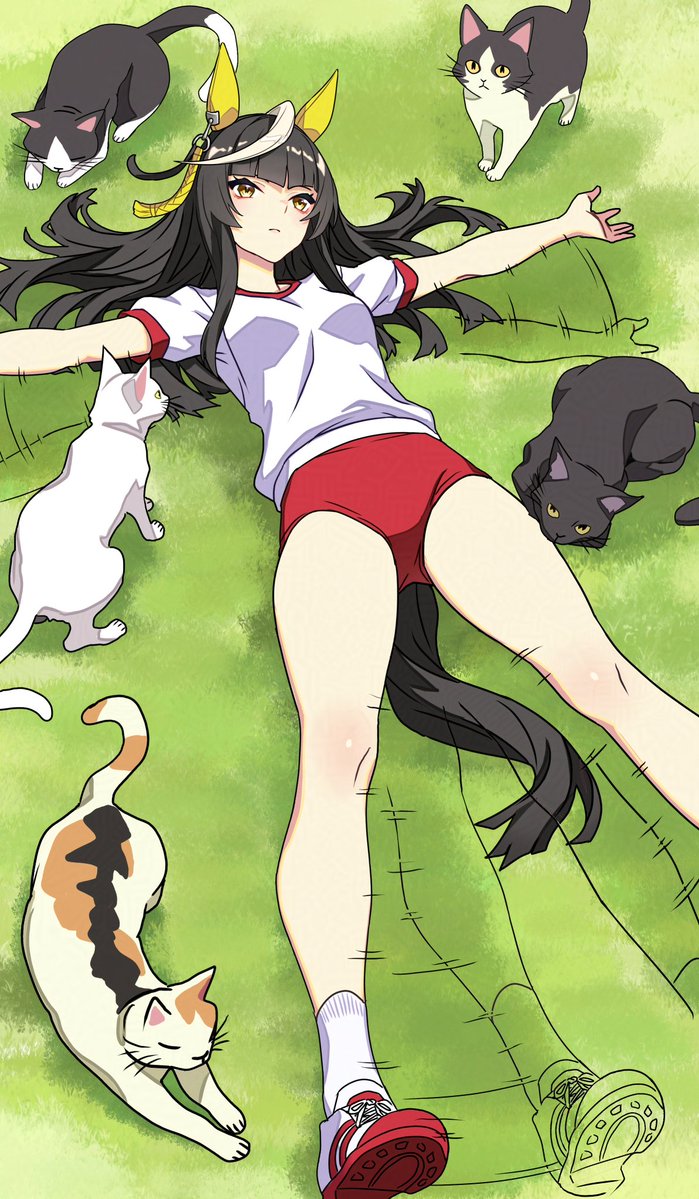 19_raven_91's tweet photo. カルストンライトオ！
#ウマ娘 https://t.co/TbG9qx7PBe
