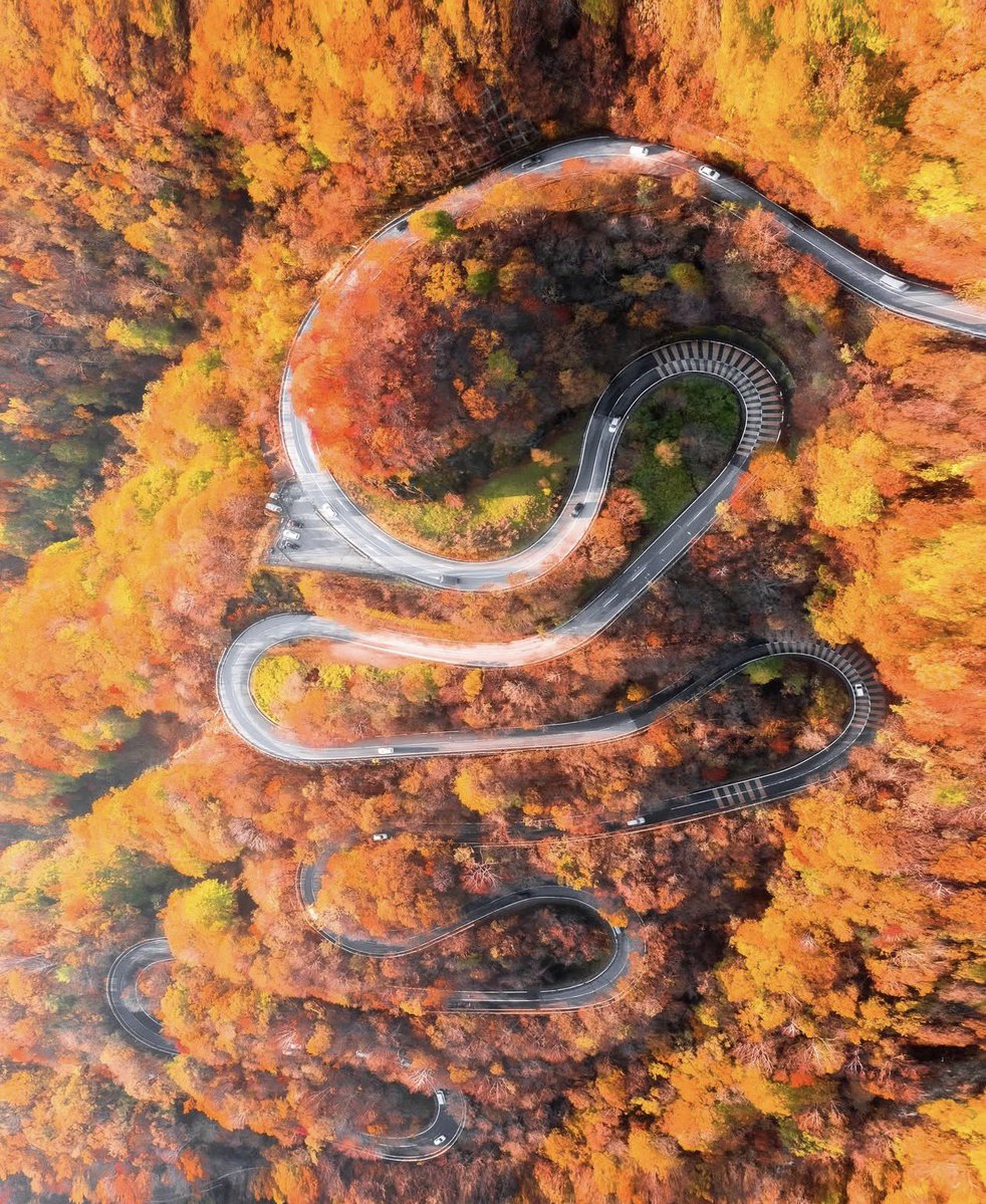 sizennaa's tweet photo. 日光いろは坂　栃木県
時間を忘れる。 https://t.co/0cSfH7GRIM