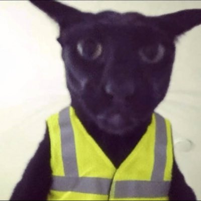alex__070201's tweet photo. RDV le 17 octobre
#NouvellePhotoDeProfil https://t.co/pVkA9AIFv8