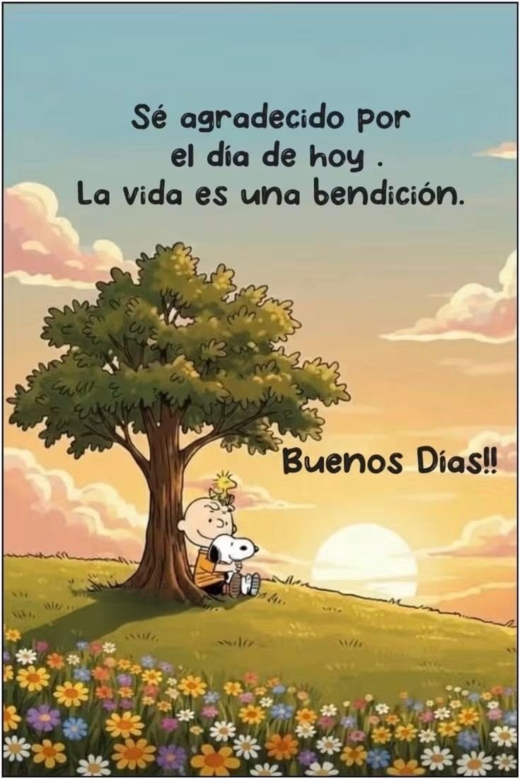 jordaninavarro's tweet photo. "Sé agradecido por el amanecer, porque cada día es un regalo divino que nos recuerda que la vida es una bendición… ¡Buenos días!" https://t.co/W8rnW5oIMm