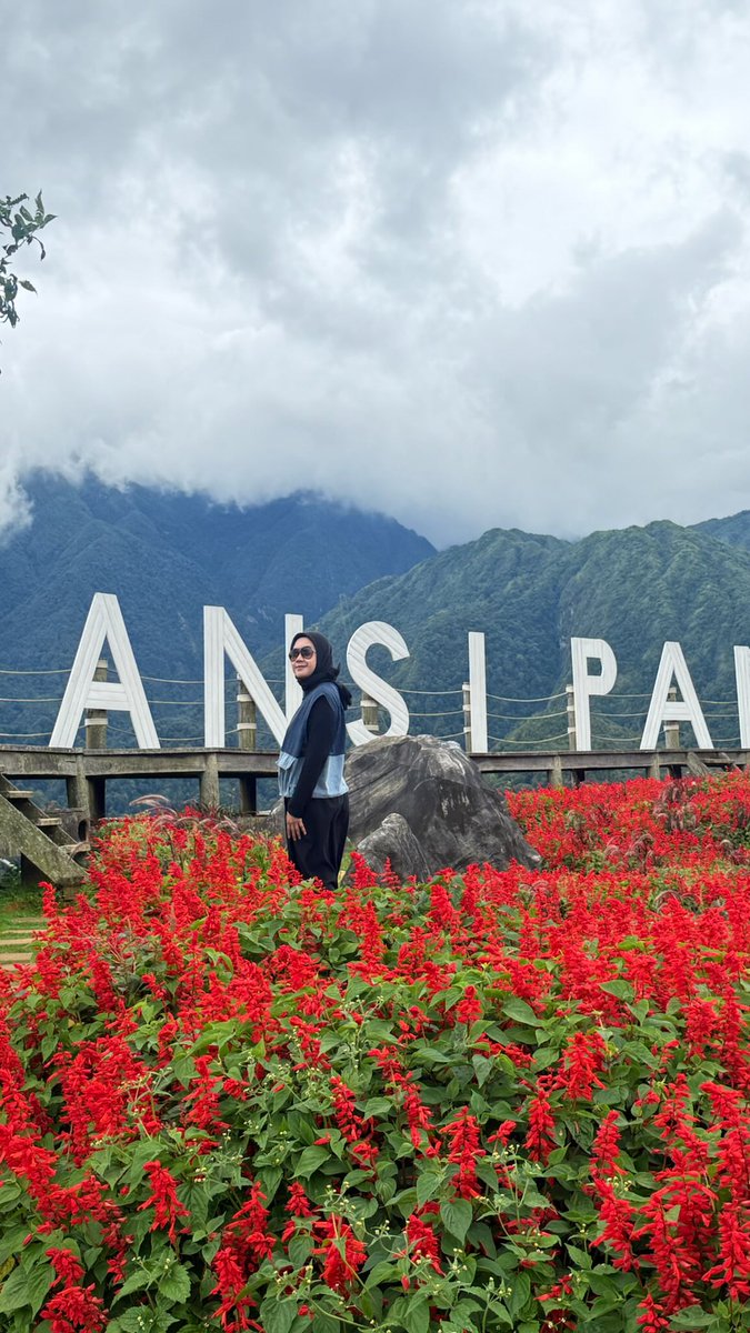 AngieeMontiel11's tweet photo. A scenic journey through mountains and roses. https://t.co/2XcTwOzwJO