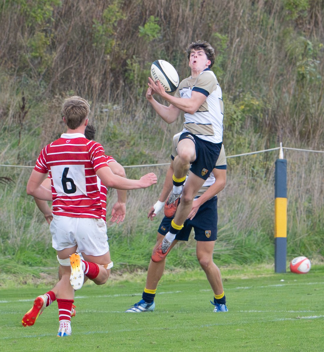 CSSportPhoto's tweet photo. An excellent weekend of rugby 
Pictures on SmugMug 
https://t.co/kvLtdXAlJx https://t.co/peHkDidU7F