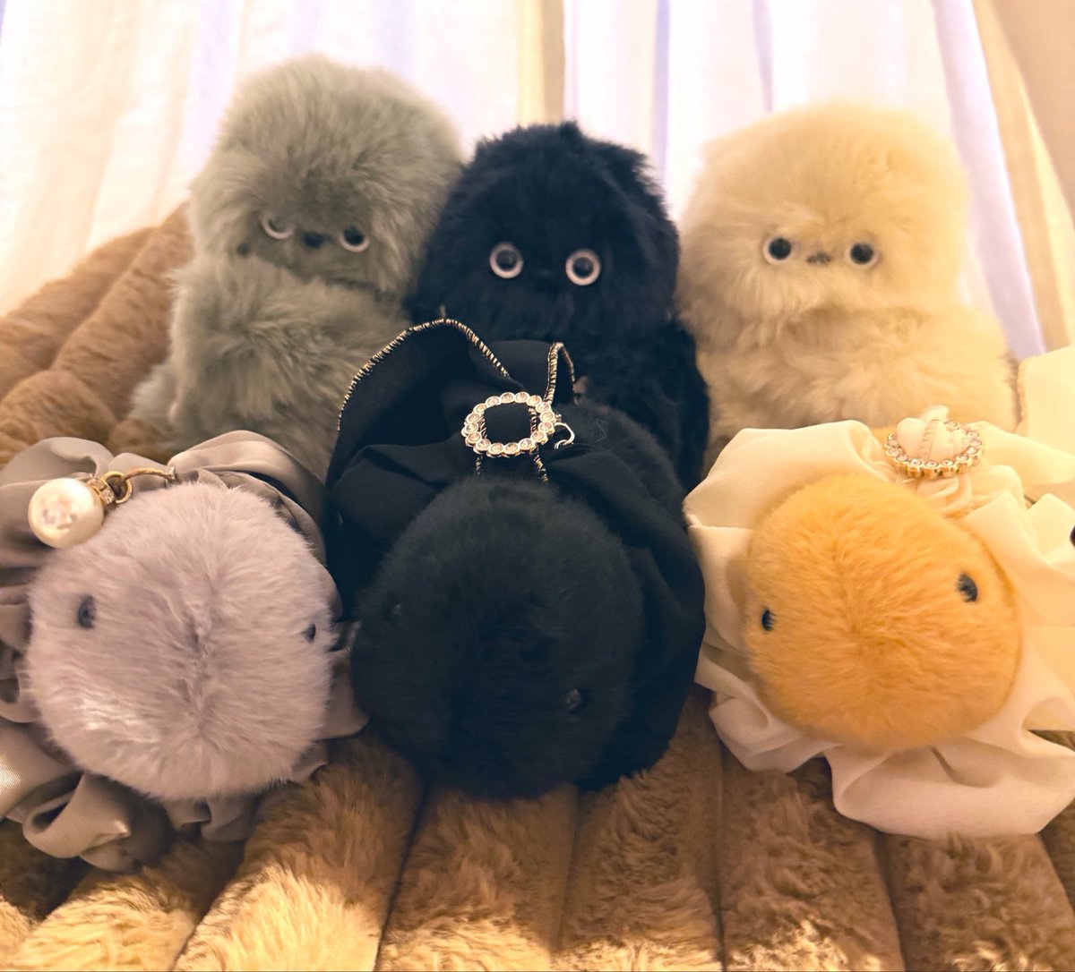 ChocoChhichi's tweet photo. お迎え黒い子
もふもふ🖤もこもこ🖤
３匹ずつ並べてかわいさの破壊力
ほっこり癒される

#mirumi #ミルミ https://t.co/jUbqFOBpZH