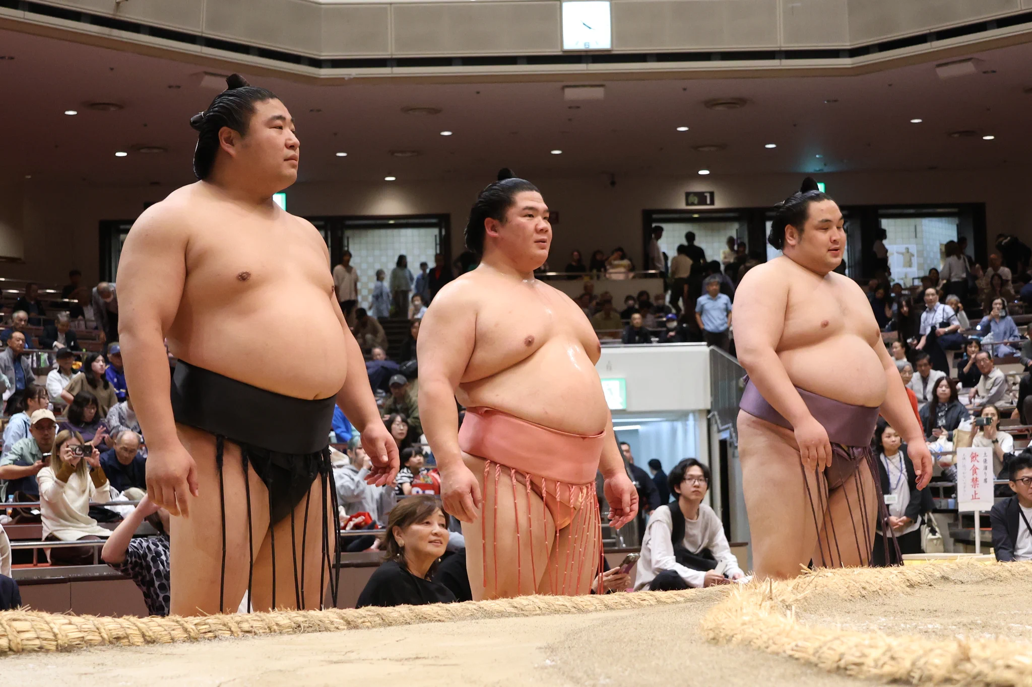 活動歴および当時の関連ビジュアル記録