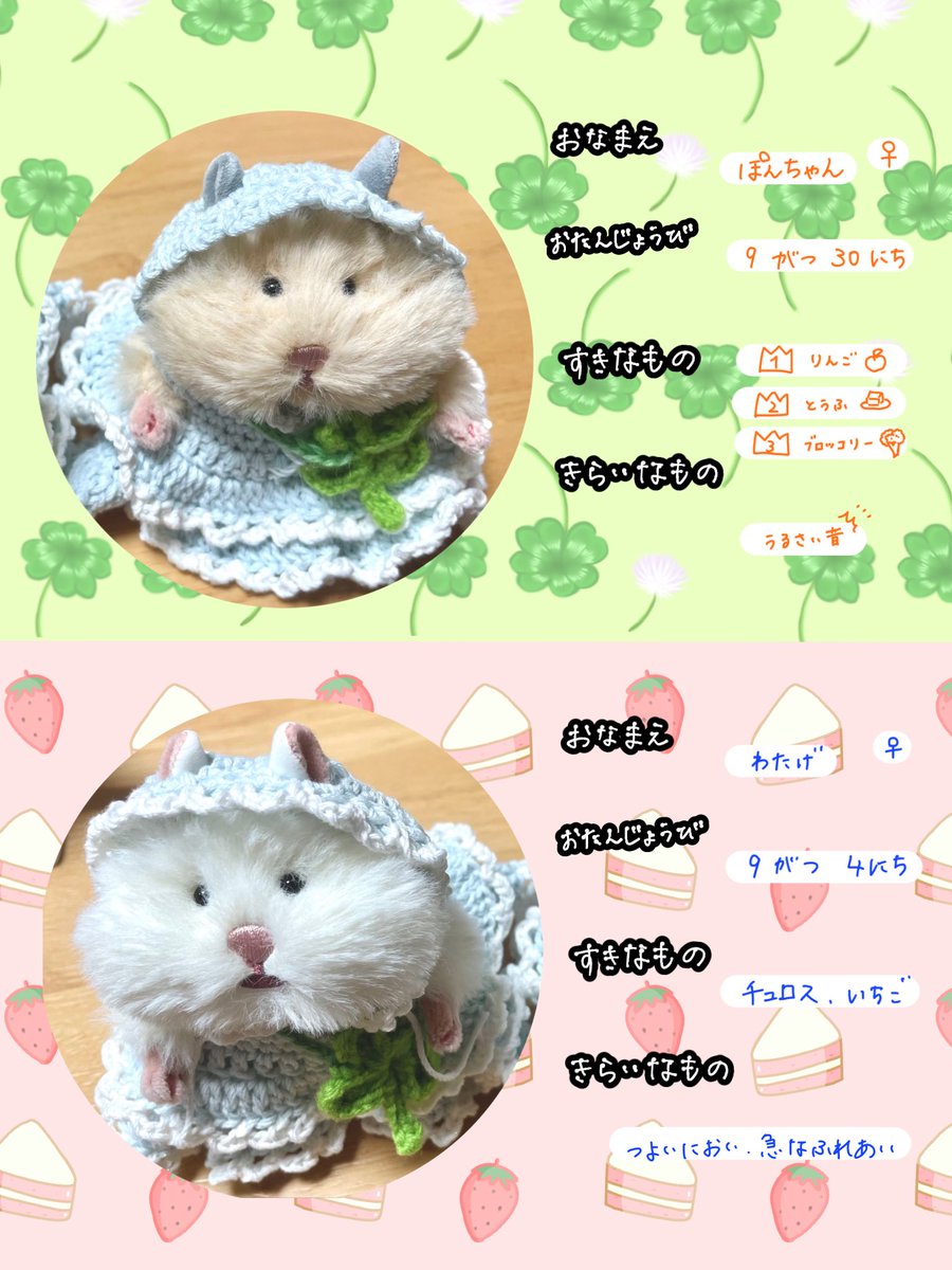 doll_11x18's tweet photo. ぽんちゃんとわたげちゃん紹介させてくださーーーい！！！

 #ぬい活
 #ぬい撮り
 #ぬいぐるみ https://t.co/84q9rVHdAP