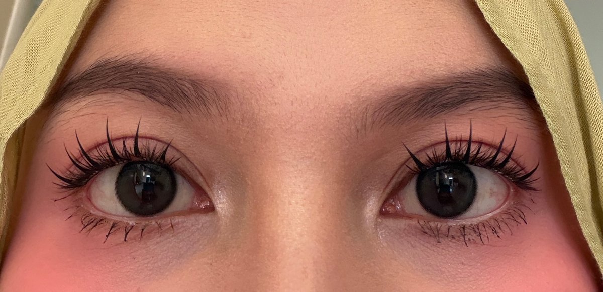 blissfulfancy's tweet photo. penemuan fake lashes paling ajaib😭 20ribuan, glueless, CANTIK BGT &amp; GA GESERRR… dipakenya gampang bgt…. https://t.co/UhFinQjRxd