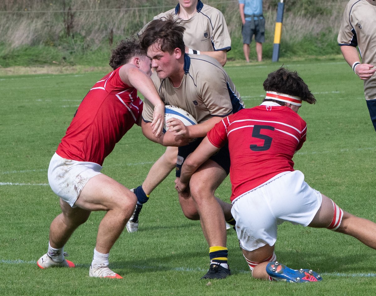 CSSportPhoto's tweet photo. An excellent weekend of rugby 
Pictures on SmugMug 
https://t.co/kvLtdXAlJx https://t.co/peHkDidU7F