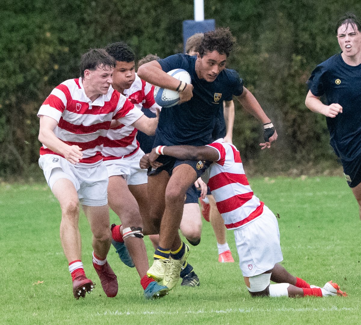 CSSportPhoto's tweet photo. An excellent weekend of rugby 
Pictures on SmugMug 
https://t.co/kvLtdXAlJx https://t.co/peHkDidU7F