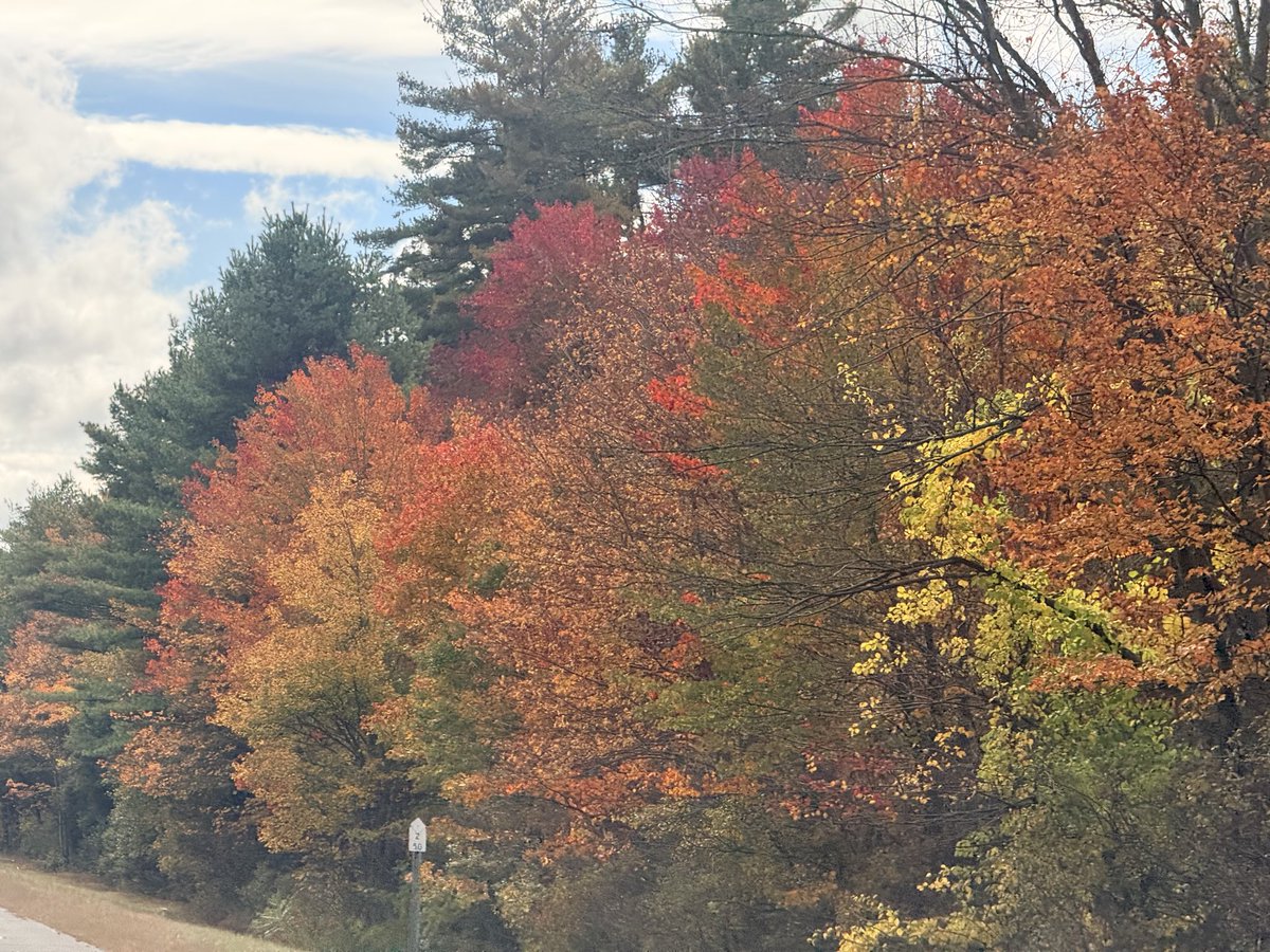 DebRobertsABC's tweet photo. Autumn leaves. 🍁 who loves fall? I’m always conflicted because winter is lurking. But enjoying the beauty! https://t.co/JGlnAbHI65