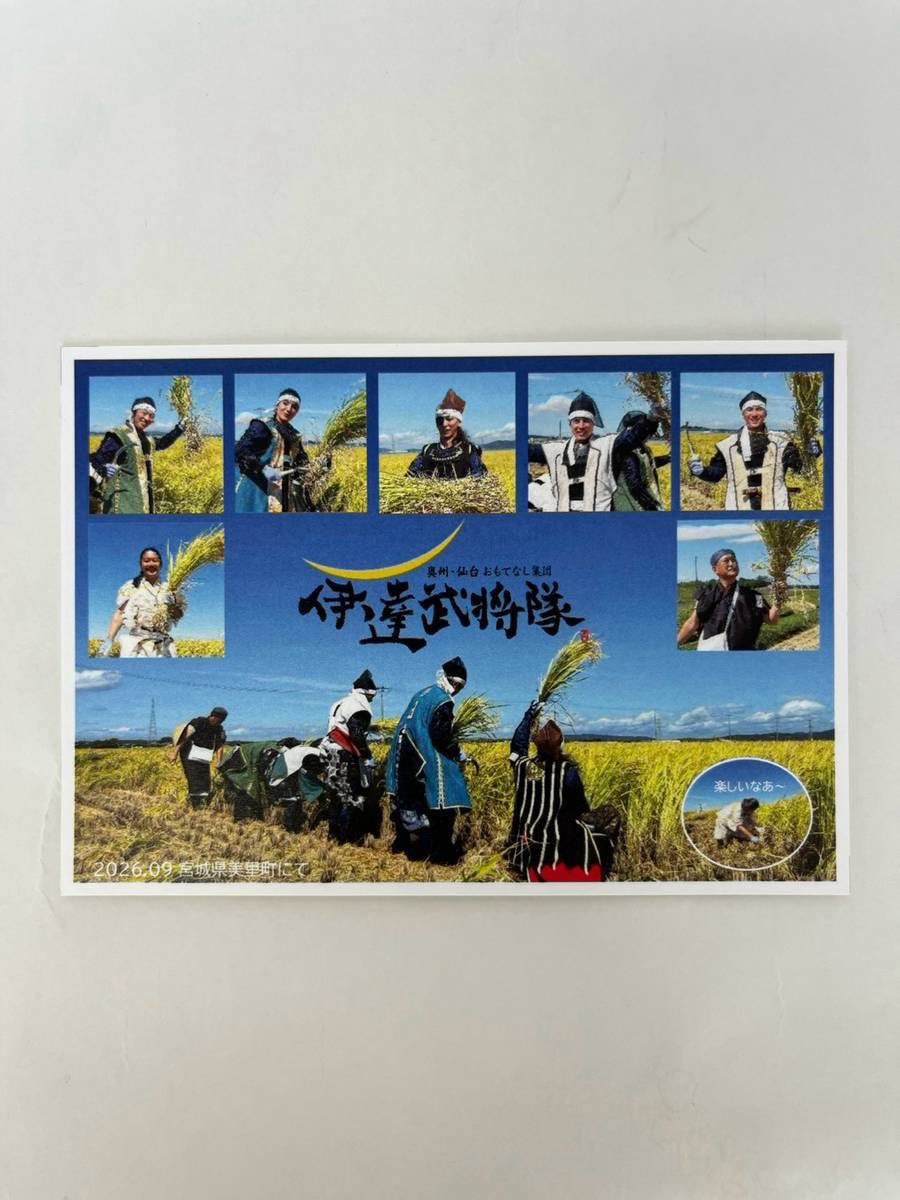 datebusyou's tweet photo. 【伝令‼️🐎💨】
伊達武将隊が宮城米｢ひとめぼれ｣を販売！

美里町にて我らが稲刈りせし米を、伊達武将隊公式オンラインショップにて10月8日より販売いたす所存

丹精込めて育てし黄金の実り🌾
ぜひとも御賞味いただきたく候！

伊達武将隊公式オンラインショップ
https://t.co/YvzMrJeArK

伊達政宗 https://t.co/BrTpdbaxSX
