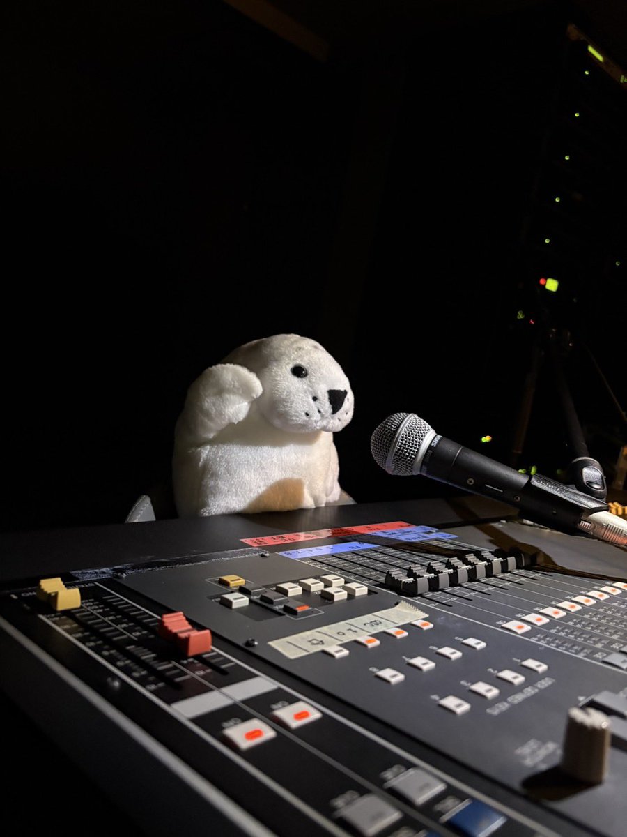 waccha_309's tweet photo. 働く、あざらしさん🦭🎤PAざらし https://t.co/UmwXqvAC1L