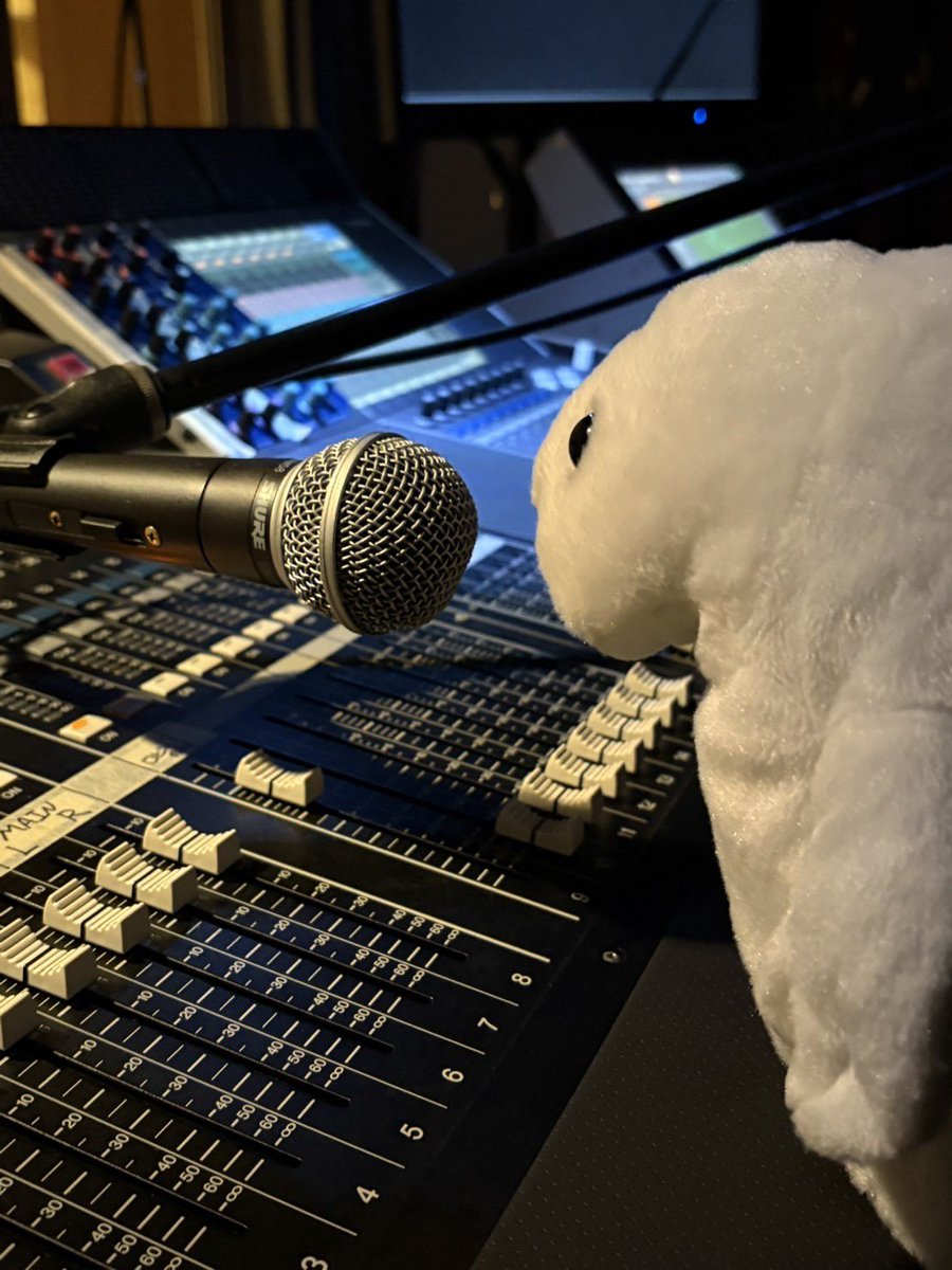 waccha_309's tweet photo. 働く、あざらしさん🦭🎤PAざらし https://t.co/UmwXqvAC1L