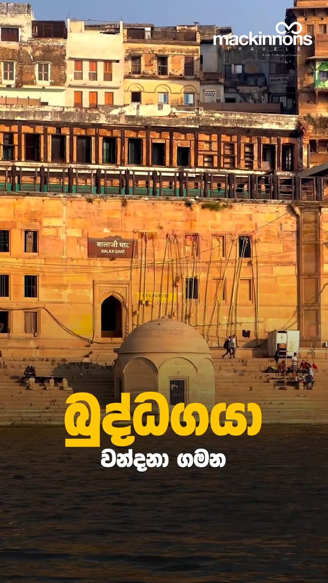 hoanganh616's tweet photo. ඉන්දියාවේ පූජනීය බෞද්ධ උරුමය අත්විඳින්න. බුද්ධ���යා, සාරානාත්, කුෂිනගර්, ලුම්බිණි ඇතුළු ස්ථාන වෙත දින 13ක චාරිකාවක්. පිටත්වීම: 2026 නොවැම්බර් 16. එක් අයෙකුට රු. 449, 000 සිට. https://t.co/F4q4BFvr0c
