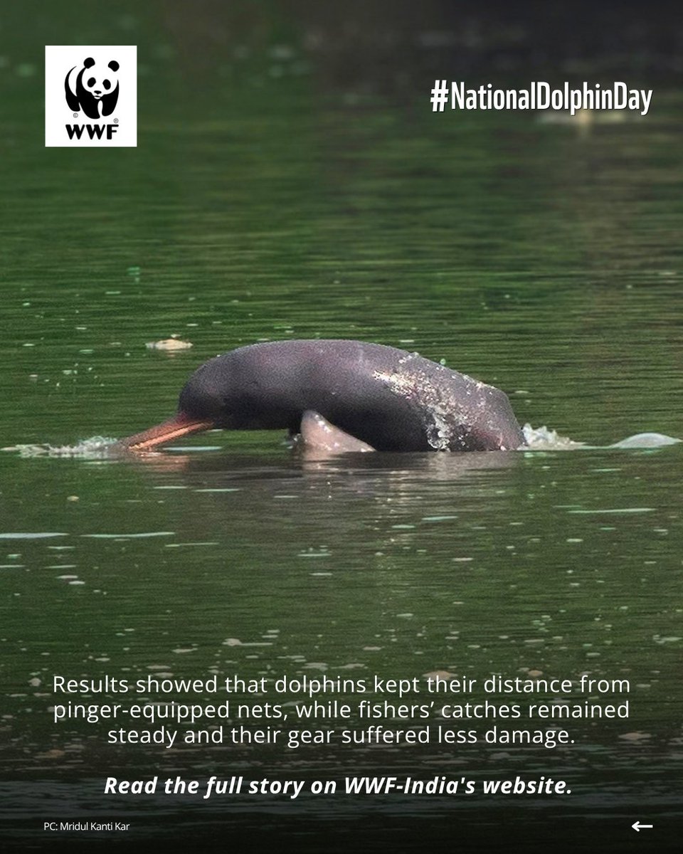 WWFINDIA's tweet photo. (2/2) Learn how: https://t.co/1zEP3rSn1e

#WWFIndia https://t.co/Zj2oBEOnhz