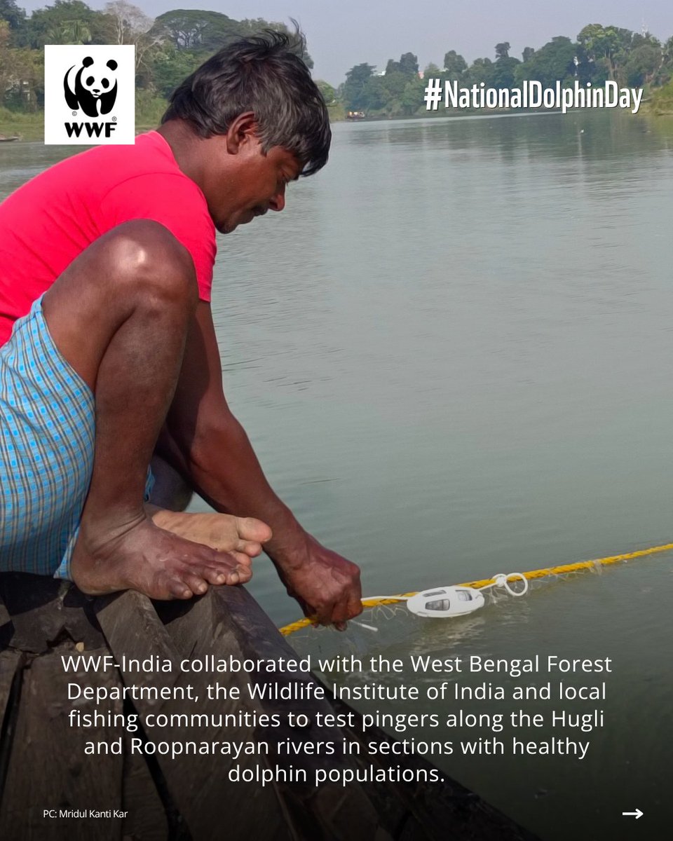WWFINDIA's tweet photo. (2/2) Learn how: https://t.co/1zEP3rSn1e

#WWFIndia https://t.co/Zj2oBEOnhz