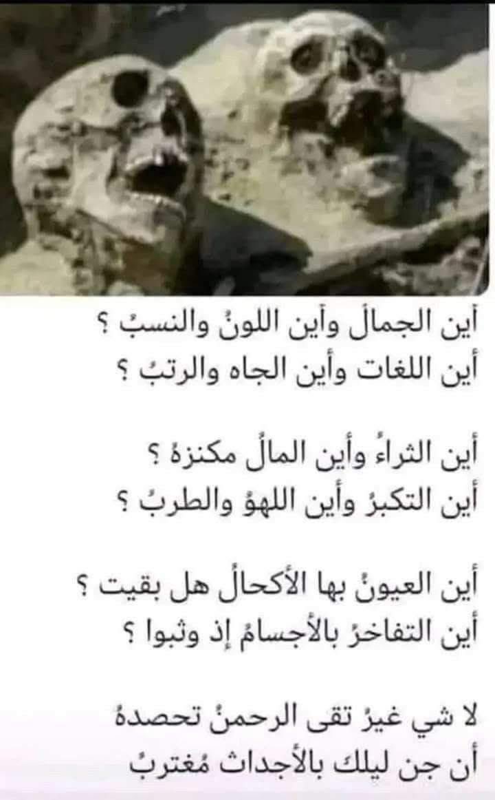 akiluno_a's tweet photo. اين ثم اين ثم اين ……….. https://t.co/NyEoeCzmDB