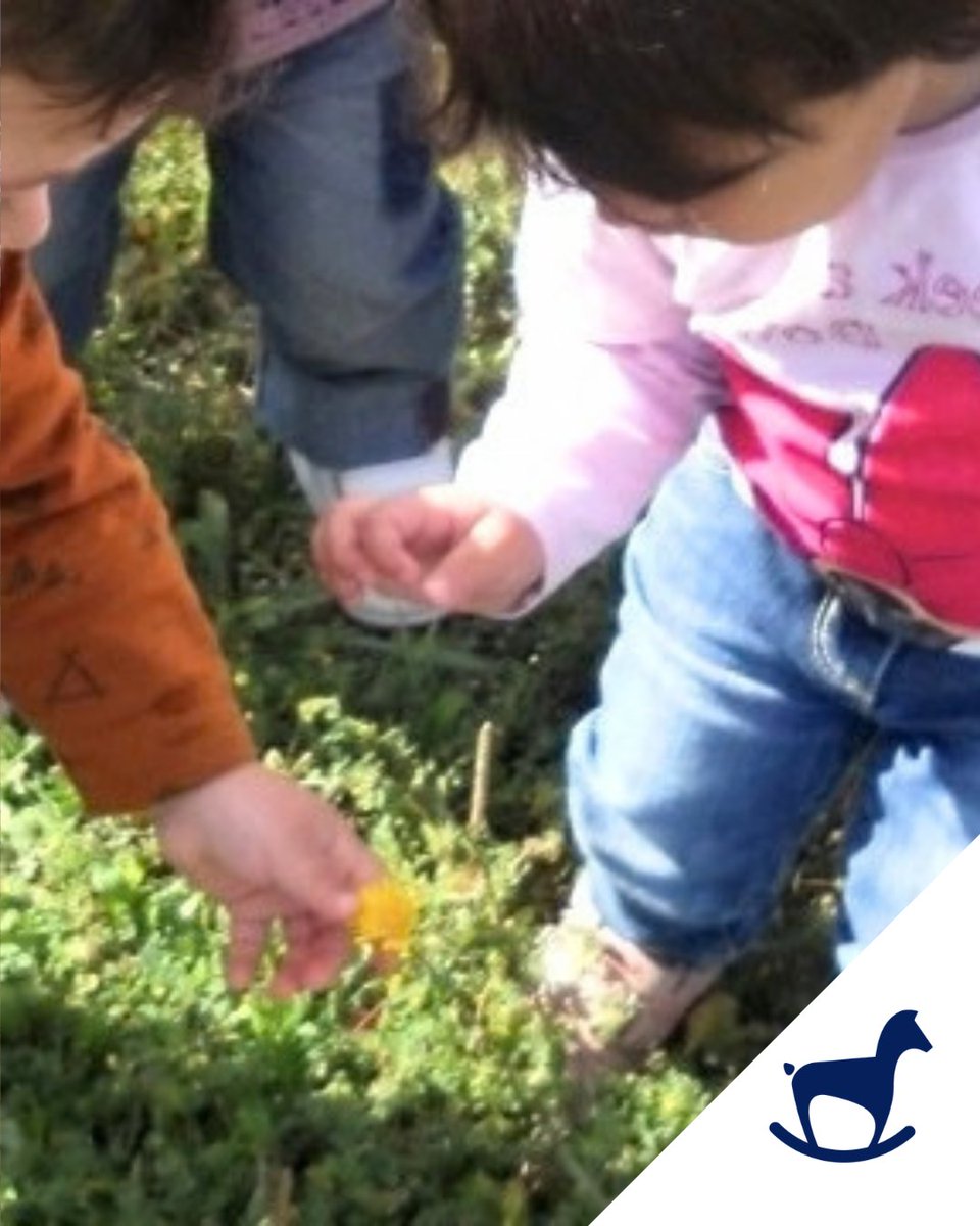 cavallcartroedu's tweet photo. Cada flor, cada fulla i cada petit detall es converteixen en una oportunitat per despertar la curiositat i afavorir l'aprenentatge. 👁️ https://t.co/aWjHpvyDev