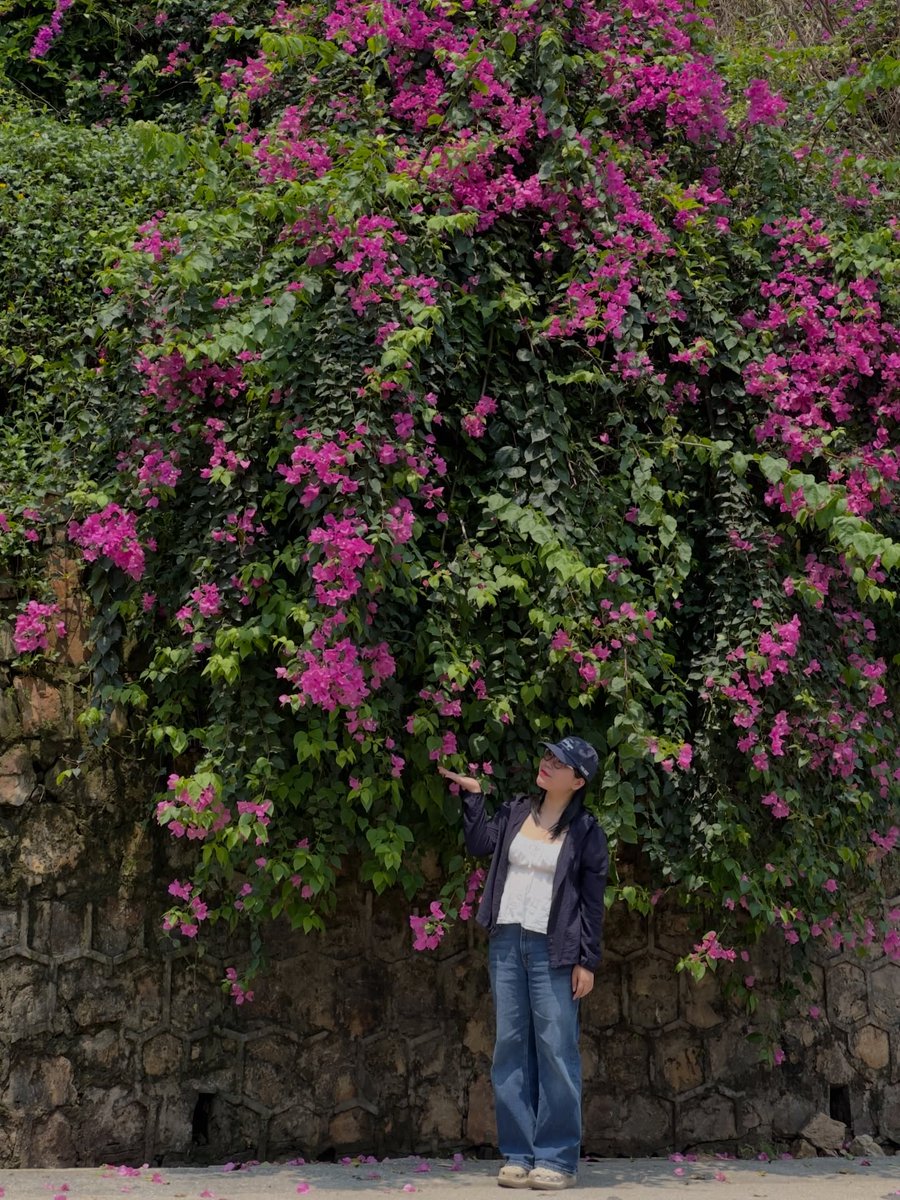 MORFORUIZ's tweet photo. Hóa ra dopamine chất lượng nhất là khi thấy thế giới ngoài kia vẫn chuyển động, rực rỡ và đầy sức sống. https://t.co/RYwRTFKQMv