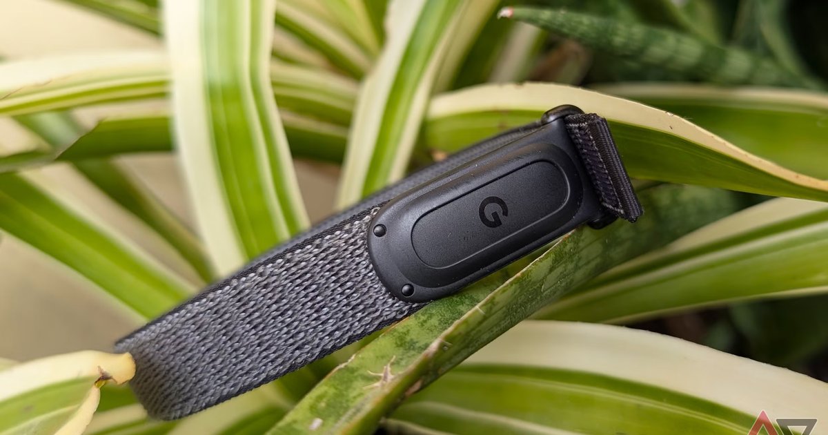 XchgRo's tweet photo. Google pregătește un nou tracker Fitbit cu ecran, fără Wear OS - scurgere de randări indică Fitbit Edge între Fitbit Air și Pixel Watch dlvr.it/TVn7H2 #Google #Fitbit #FitbitEdge https://t.co/6qyblLiqEs
