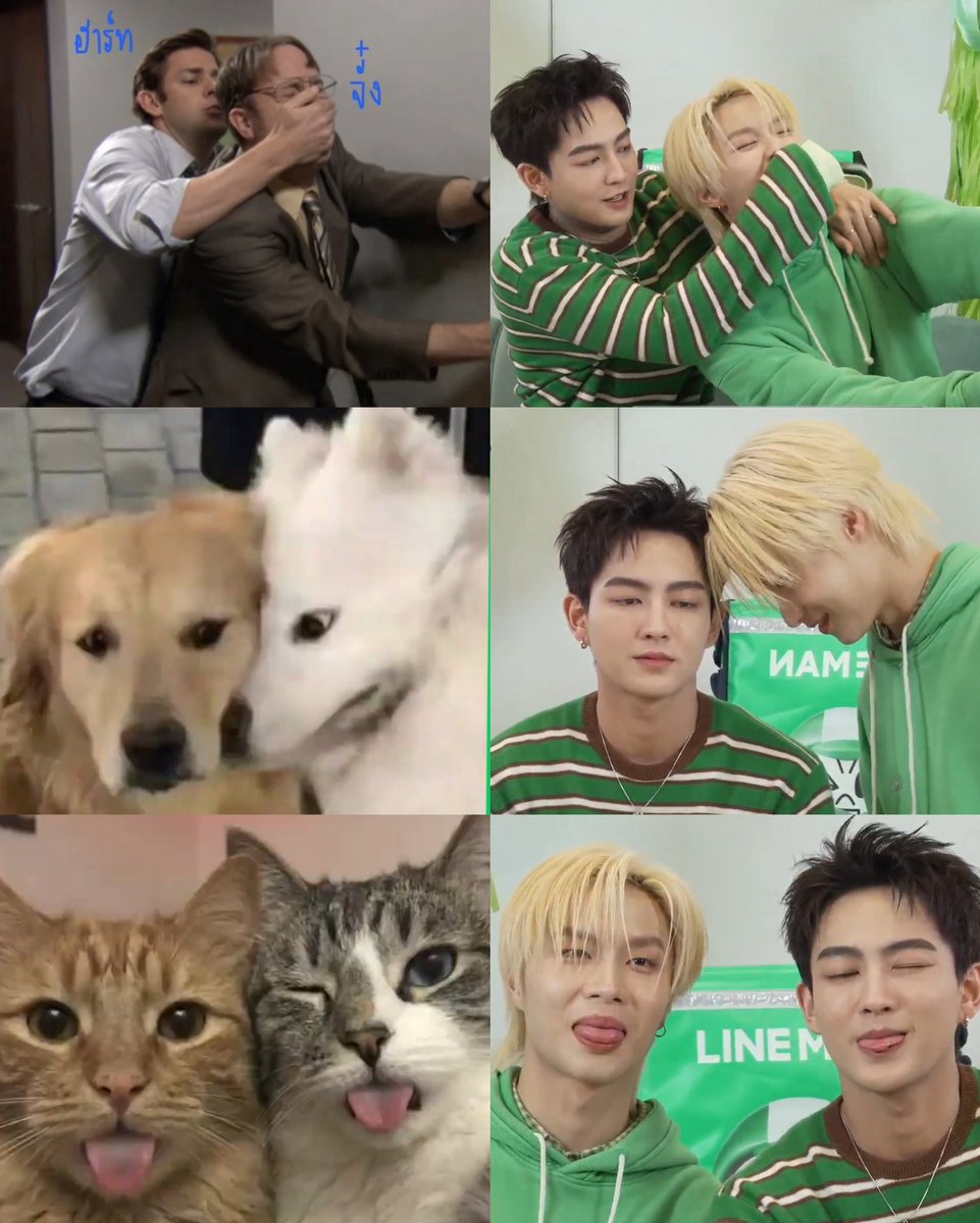 t0eylxqp's tweet photo. ฮรี่่่่่่ มีมมาก เหมือนมาก เอาเป๊ะเลยอะ5555552525555 น่าร้าก <333

#JUNGT #HEARTchuthiwat
#LINEMANถูกสุดทุกวันxBUS https://t.co/1kozceknw5