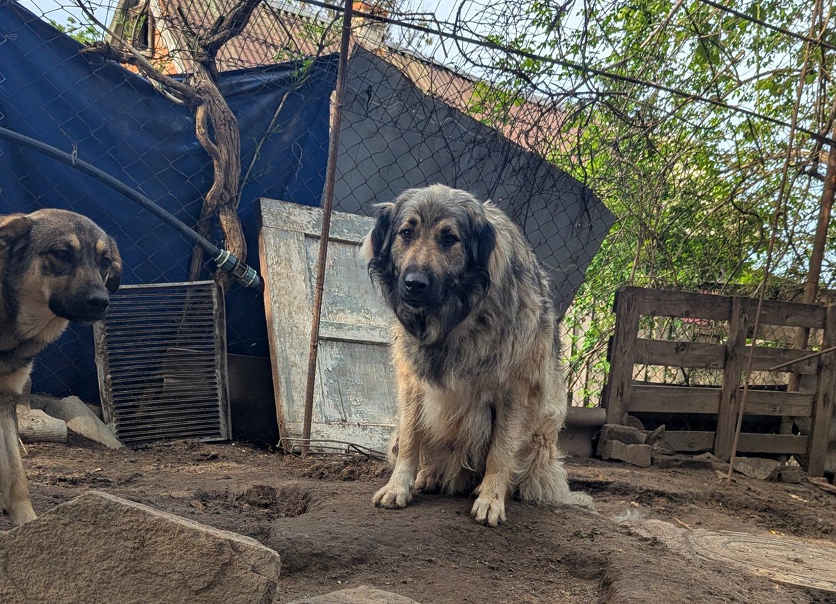 AnnaTsepla's tweet photo. Вуфуюфа геть розстрої́вся, бо ми стоїмо на місці...💔
Долучіться бумласочка 🙏🏽
https://t.co/ytJTDFAoy3
Вже майже обід, а вони ще не снідали🥺 https://t.co/gUFAbVYP7f