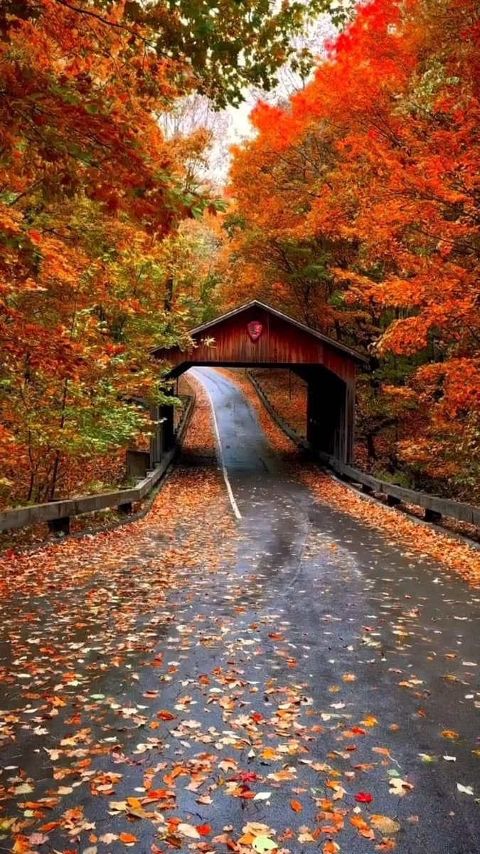 jsarzoza's tweet photo. My #Morning #Pathway 🌲🌤️🍁🍂💕☕️😋🤚
:
:
:
:
#Minnesota #trail #path #travel #cold #cooldown #chilly #October #Weekday #Monday #fog #clouds #sunrise #warm #warmup #muggy #rain #storms #autumn #thunderstorms #forest #field #roads https://t.co/1TtIByxc8P