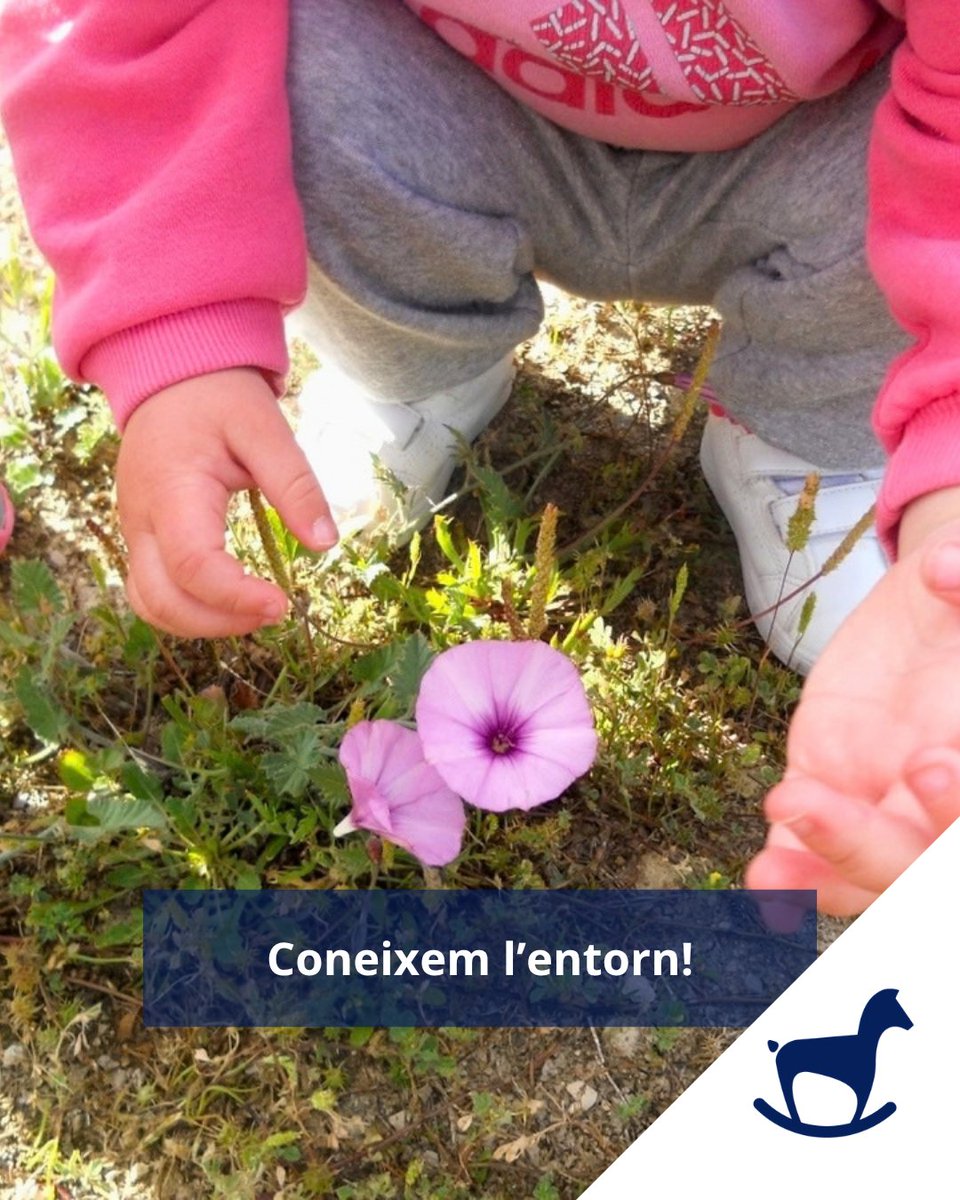 cavallcartroedu's tweet photo. L'entorn és una font inesgotable de descobertes. 🌼🌸🏵️

Quan els infants surten a explorar la natura, observen, comparen, recullen, es fan preguntes i construeixen explicacions pròpies sobre tot allò que els envolta. 🌿 https://t.co/oY7TCo4Z8r