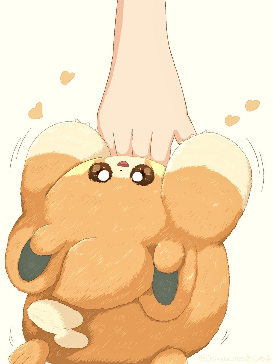 Osimeta_0725's tweet photo. パモかまって〜🧡 https://t.co/PRDee8NphF