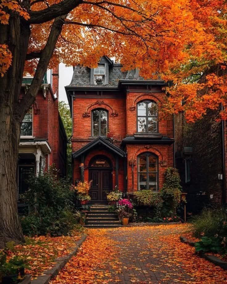 earthserenityy's tweet photo. Autumn in New York https://t.co/PQYtKPy5jU