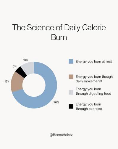 tofugirl888's tweet photo. @hauntedflesh bc of evolution, human body has a cap for how much cals we burn from exercise. that’s why there’s higher focus on upping neat (walking, doing chores etc). it’s called the exercise paradox. https://t.co/ddwGaaT4Y0