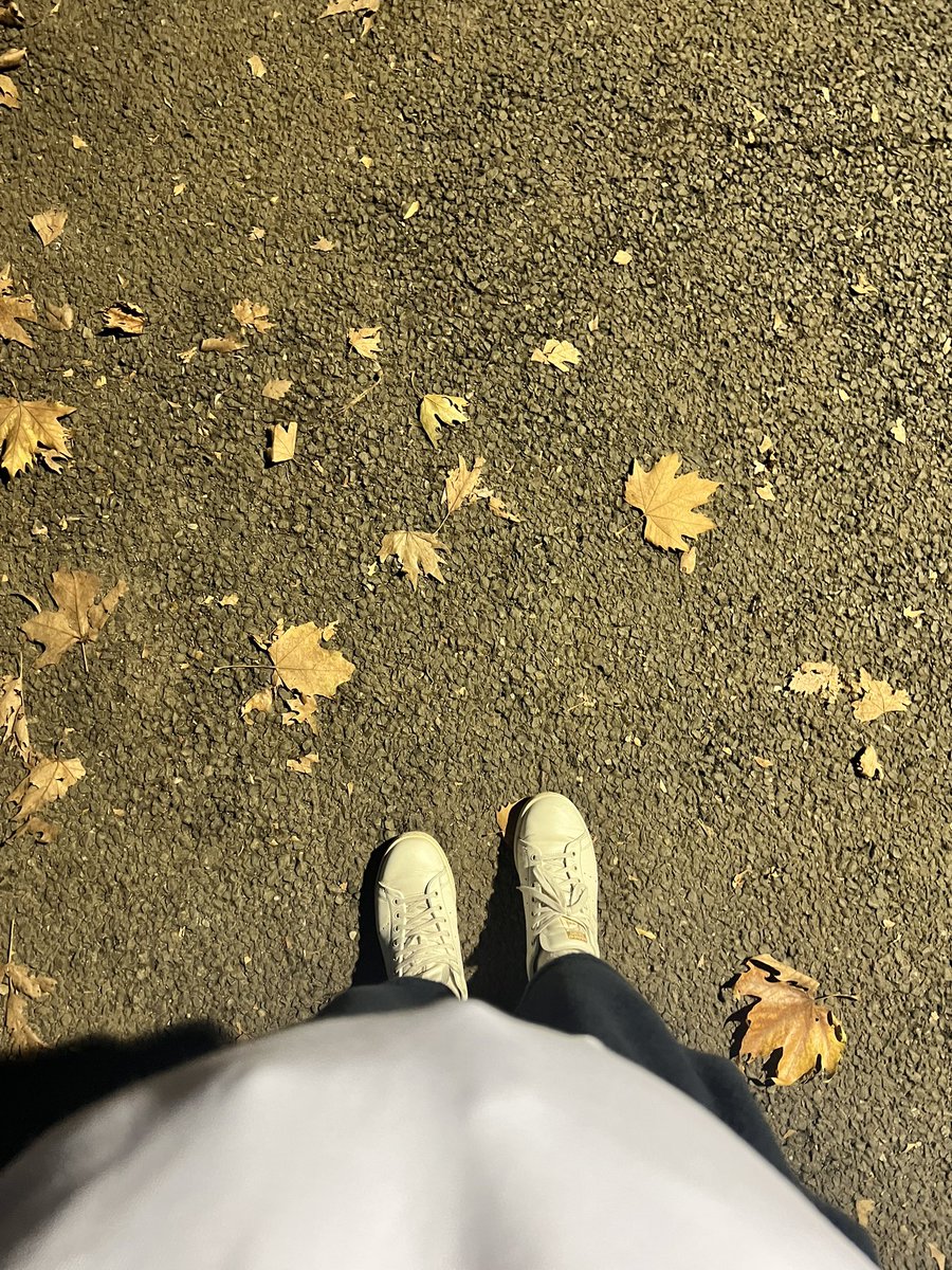 pZgyFg's tweet photo. 午前中に母と会話してメンブレ起こしたから遅めのスタート、しかし根性で10,000歩は死守、我ながら偉すぎる https://t.co/euovZaXJWQ
