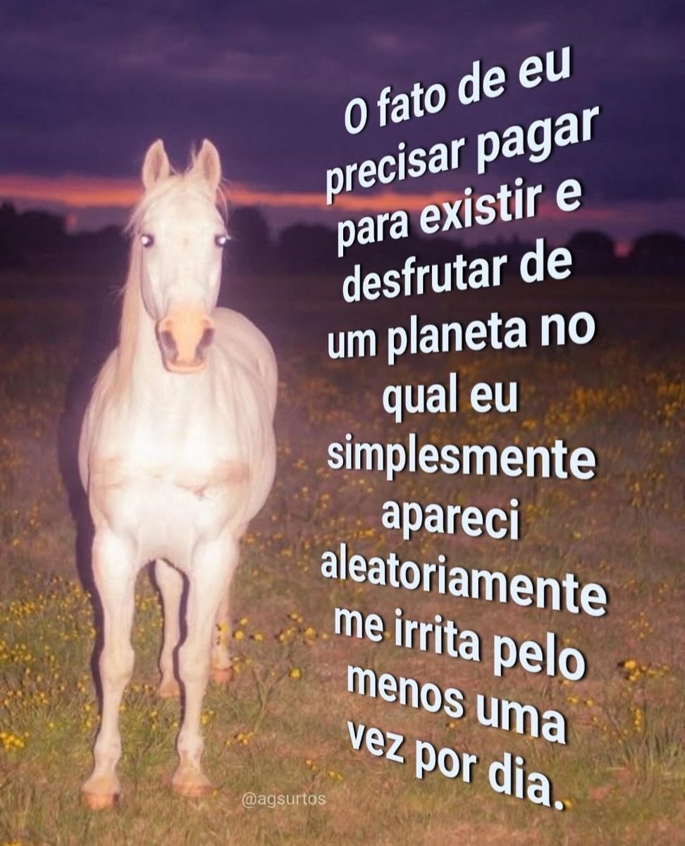 paginalixo1's tweet photo. https://t.co/763X8Ro11M