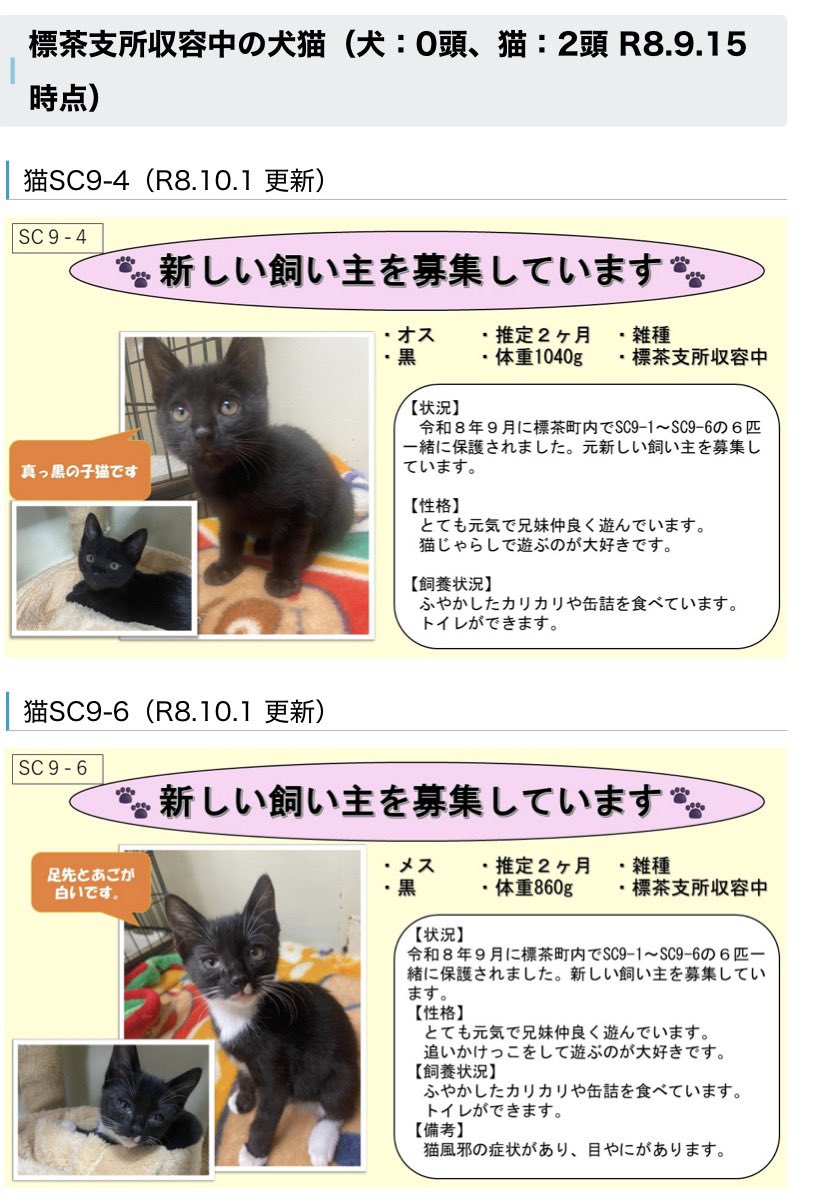 Apple20130506's tweet photo. 釧路振興局さん
犬さんは釧路、にゃんずは標茶さんに収容されています。おちびわんず、生後6〜7ヶ月の女の子たちは避妊手術済みのようです。 #拡散希望 #北海道 #里親募集 #保健所 #釧路 #標茶町
 https://t.co/RGMVdRFe7r.. https://t.co/ZkYT6YmIuO