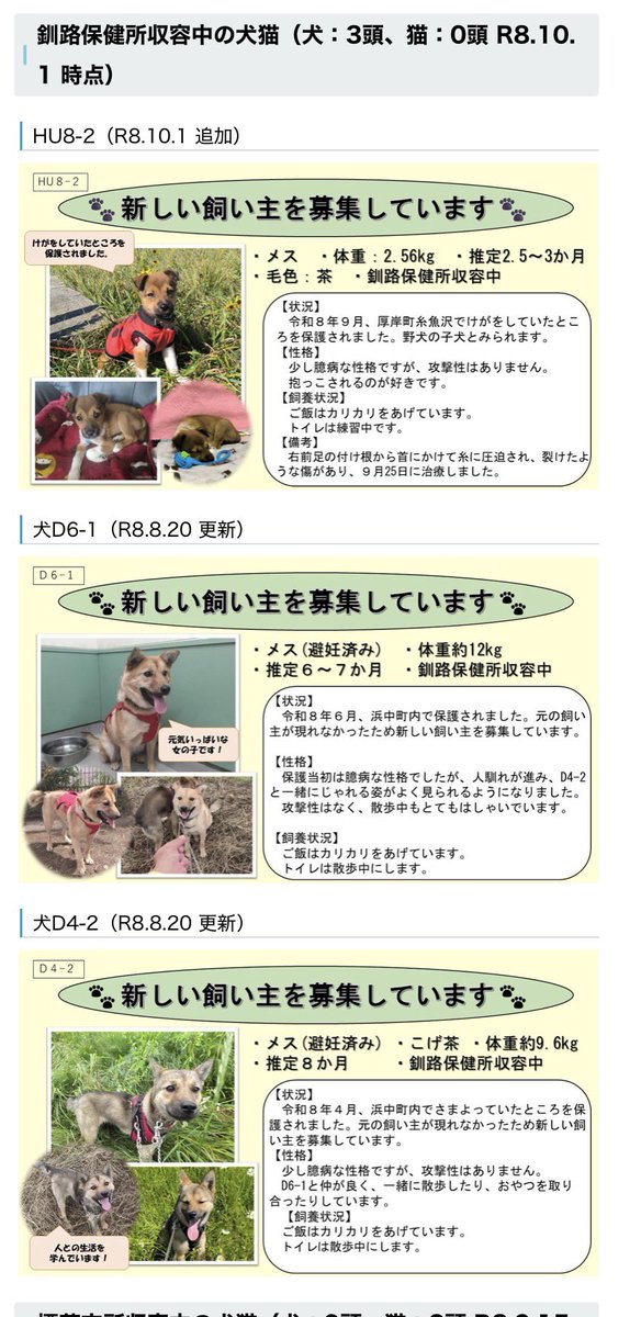 Apple20130506's tweet photo. 釧路振興局さん
犬さんは釧路、にゃんずは標茶さんに収容されています。おちびわんず、生後6〜7ヶ月の女の子たちは避妊手術済みのようです。 #拡散希望 #北海道 #里親募集 #保健所 #釧路 #標茶町
 https://t.co/RGMVdRFe7r.. https://t.co/ZkYT6YmIuO