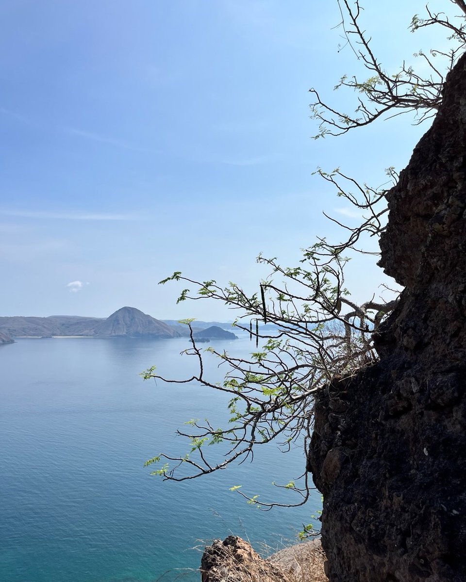 Daveee09's tweet photo. Komodo National Park, located on Flores in the eastern Indonesian archipelago. https://t.co/Ejv1j5d40E