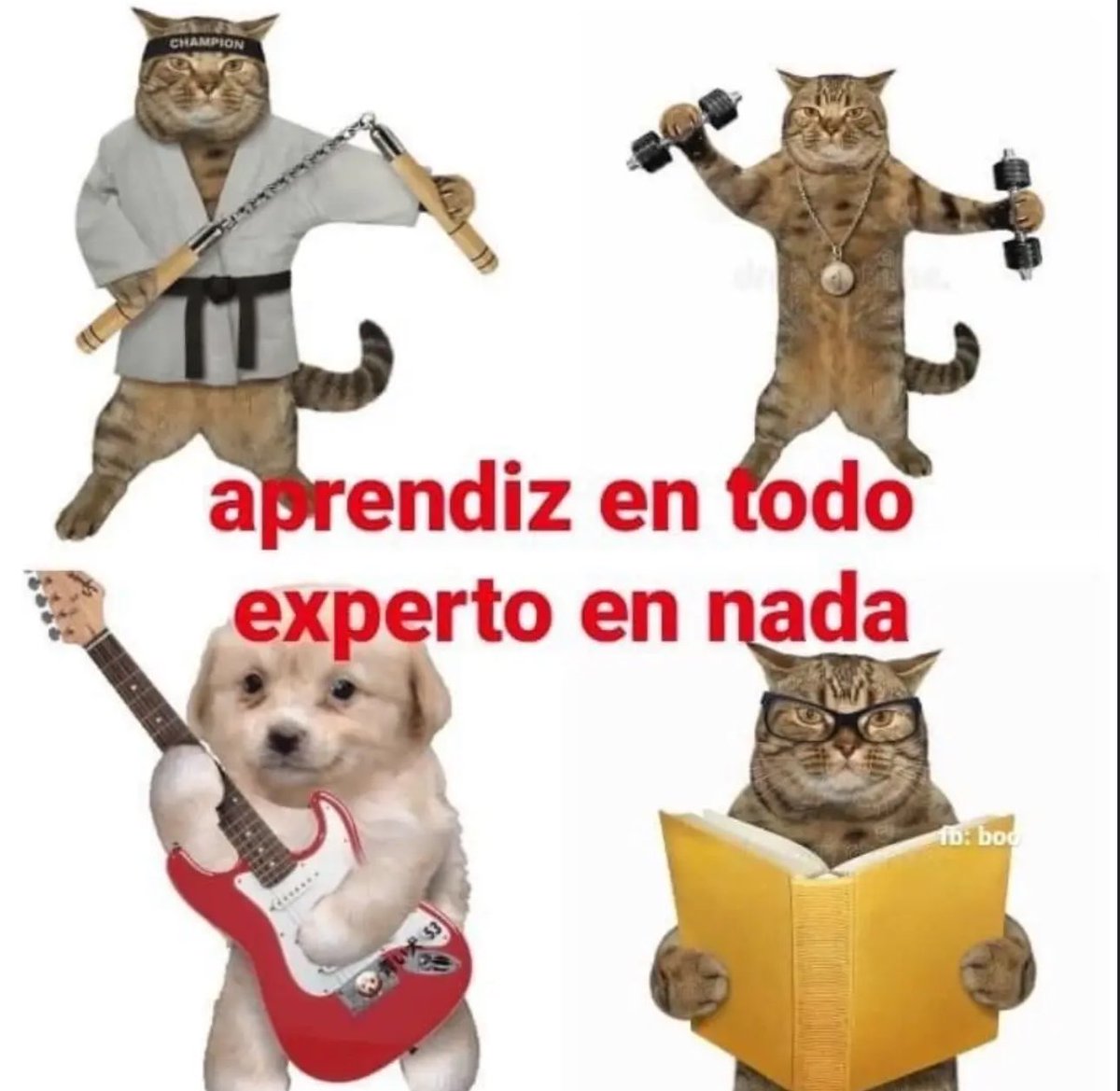 skereunpesado's tweet photo. https://t.co/dPE1BNbvq5
