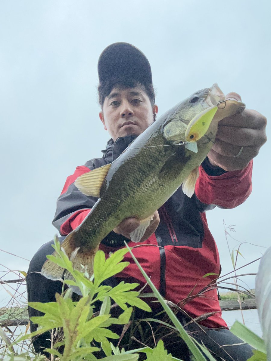dacunling's tweet photo. 兵頭プロ　
流石のナイスフィッシュ

わし　ノーフィッシュ

なので
上がったあと

いつもの横利根川で　残業！！

#霞水系
#横利根川
#ブリッツSSR https://t.co/PgMfFXMwen