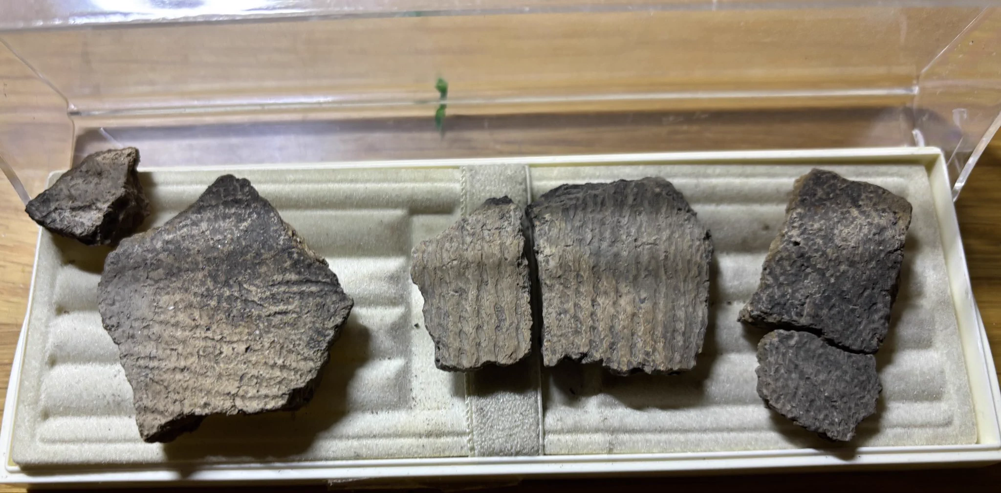 「土器の欠片 縁の部分 No.697」です。 SPQR on X: 