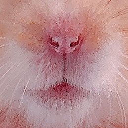 nagihagiyubeshi's tweet photo. マニア向け https://t.co/RPrd6A3BRn