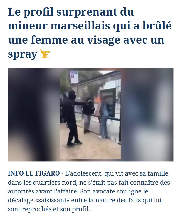 JPWK's tweet photo. .@MLP_officiel 

"Les actions criminelles ne devraient plus être attribuées à leurs auteurs..."   

Il est temps de mettre de l'ordre. https://t.co/uIZ6OKyGKh