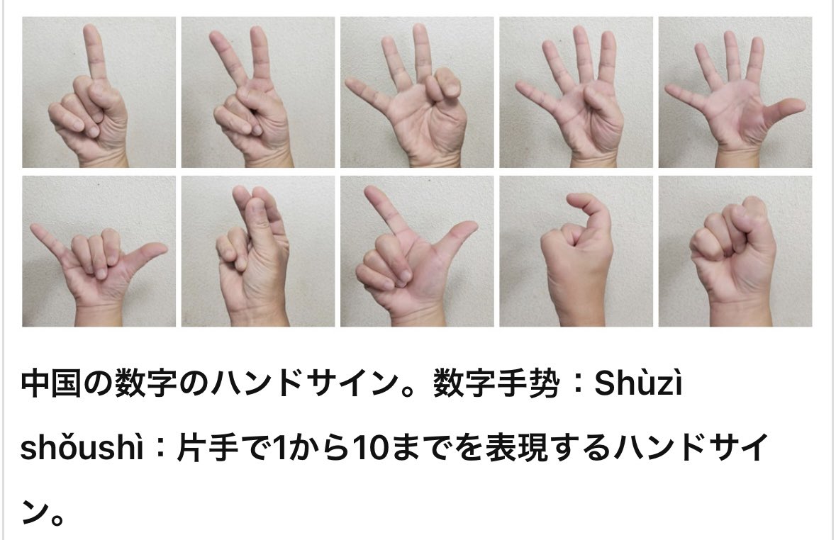 KKPMTD's tweet photo. 【#VIVANT 私なりの大発見】

・1枚目：円周率を順に唱えつつ、ハンドサインと共に9を指している場面(ep17)
・2枚目：プリシャの現在の年齢(9歳)をハンドサインで示している場面(ep19)

同じ数字に対し、1人の人間(劉…？)から、異なる形態のハンドサインが使用されている。

これはさすがに……。 https://t.co/oLcAuQDL96