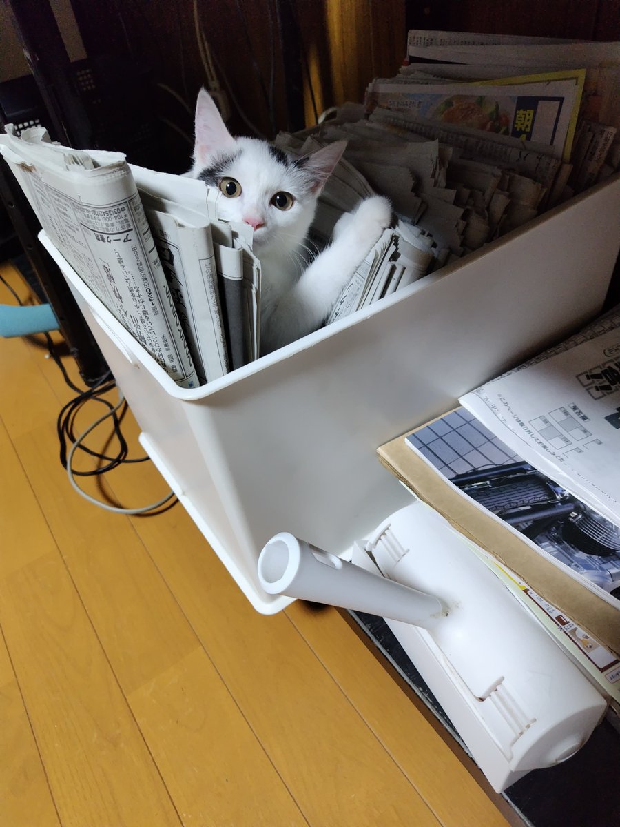SNSイメージ
